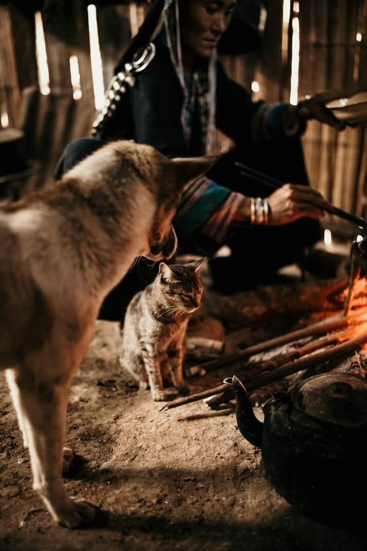 3 Days Nong Khiaw Long Trekking Tour